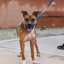 Thumbnail photo of Theo #4