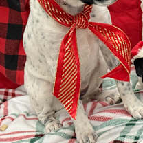 Thumbnail photo of Georgia #3