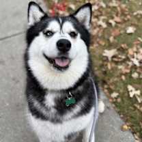 Thumbnail photo of Mariah #1