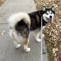 Thumbnail photo of Mariah #2