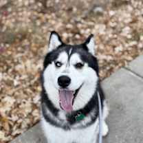 Thumbnail photo of Mariah #3