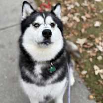 Thumbnail photo of Mariah #4