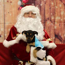 Thumbnail photo of OMG Miles #4