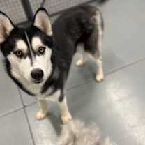 Thumbnail photo of Nick #4