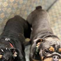 Thumbnail photo of Courtney (Special Needs) #1