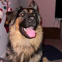 Thumbnail photo of Whiskey #3