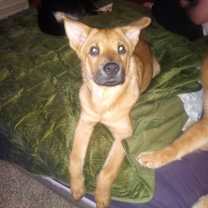 Thumbnail photo of Curro #2