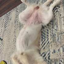 Thumbnail photo of Sasha #4