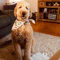 Thumbnail photo of Cody #3