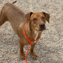 Thumbnail photo of Hurly Burly #3