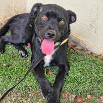 Thumbnail photo of Ian JuM #2