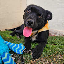 Thumbnail photo of Ian JuM #4