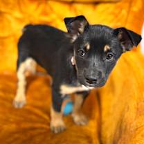 Thumbnail photo of Ariana #1