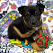 Thumbnail photo of Ariana #2