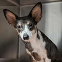 Thumbnail photo of Sid #2