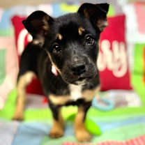 Thumbnail photo of Ariana #3