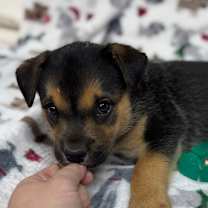 Thumbnail photo of Monty #4