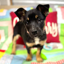 Thumbnail photo of Ariana #4