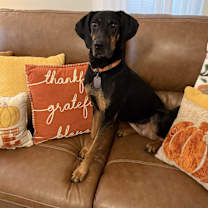 Thumbnail photo of Melody #1