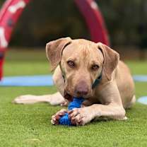 Thumbnail photo of Perry - 2 #3