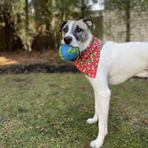 Thumbnail photo of Cody Johnson Wallace #1