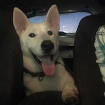 Thumbnail photo of Jake #2