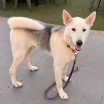 Thumbnail photo of Jake #3