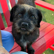 Thumbnail photo of Eddie #2