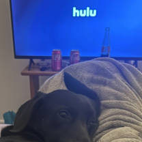 Thumbnail photo of Kobe #4