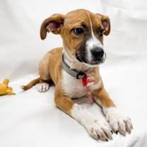 Thumbnail photo of 870 (2025) Sally #3