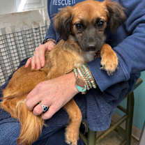 Thumbnail photo of Australia #1