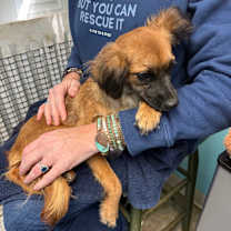 Thumbnail photo of Australia #2