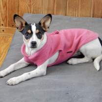 Thumbnail photo of Charlotte #1