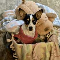 Thumbnail photo of Charlotte #2