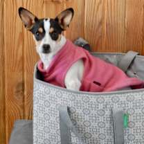 Thumbnail photo of Charlotte #3