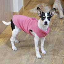 Thumbnail photo of Charlotte #4