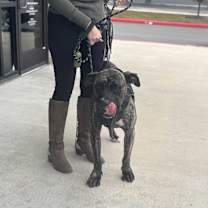 Thumbnail photo of Gus #2