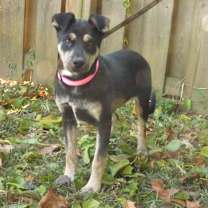 Thumbnail photo of Greta #3