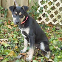 Thumbnail photo of Greta #2