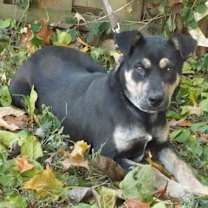 Thumbnail photo of Greta #4