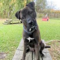 Thumbnail photo of Duncan #2