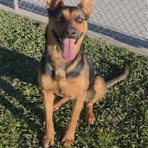 Thumbnail photo of MISTY #1