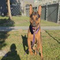 Thumbnail photo of MISTY #3