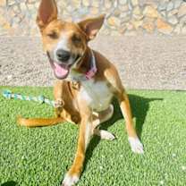 Thumbnail photo of Emilia* #3