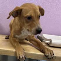 Thumbnail photo of 59322143 #2