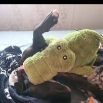 Thumbnail photo of Beau #4