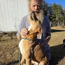 Thumbnail photo of REBA #4