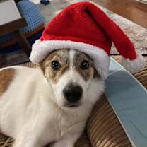 Thumbnail photo of Dior #1