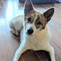 Thumbnail photo of Dior #2