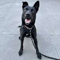 Thumbnail photo of Walker #2